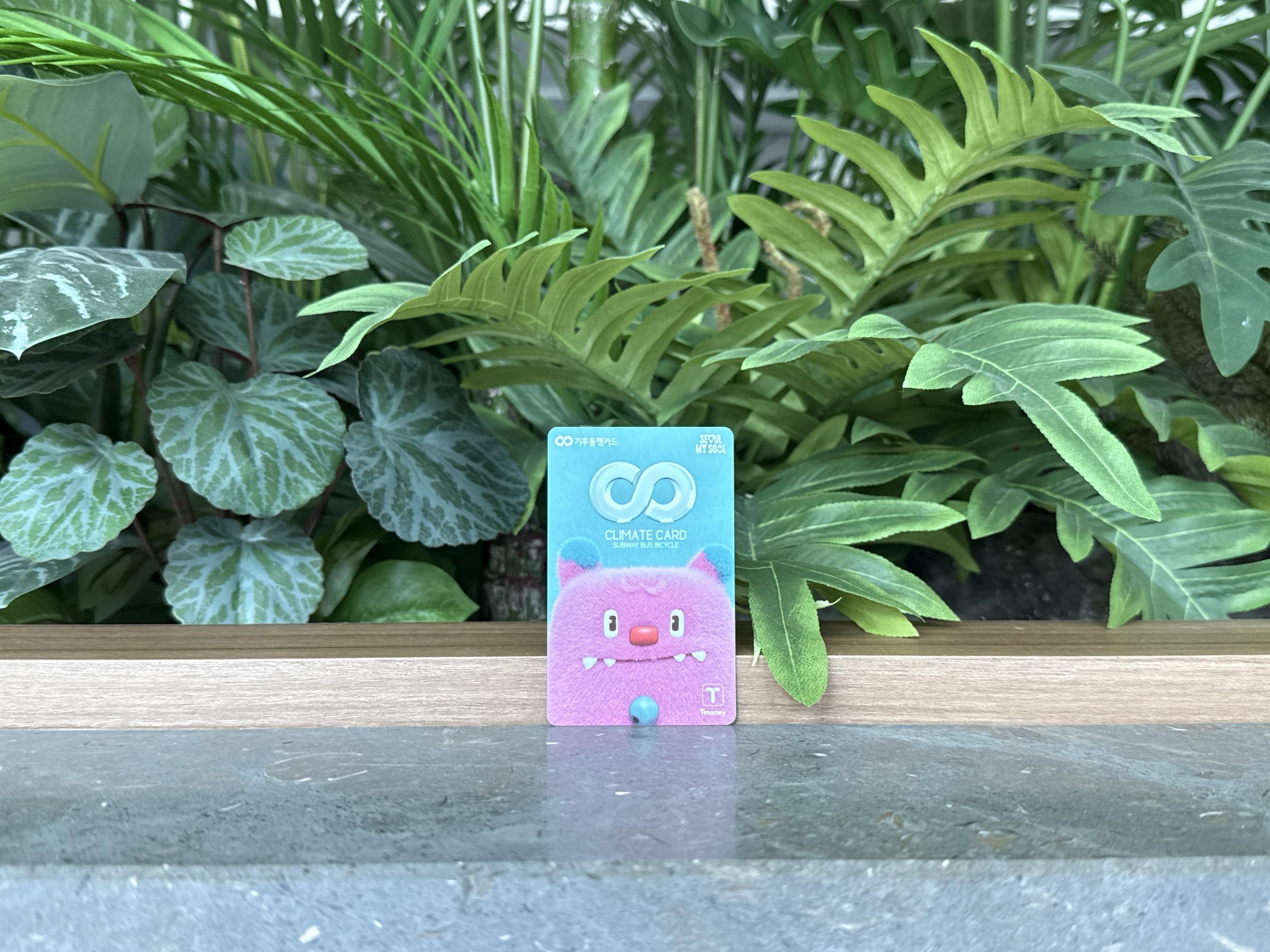 دليل شامل لبطاقة كلايمت كارد في سيول (Climate Card)