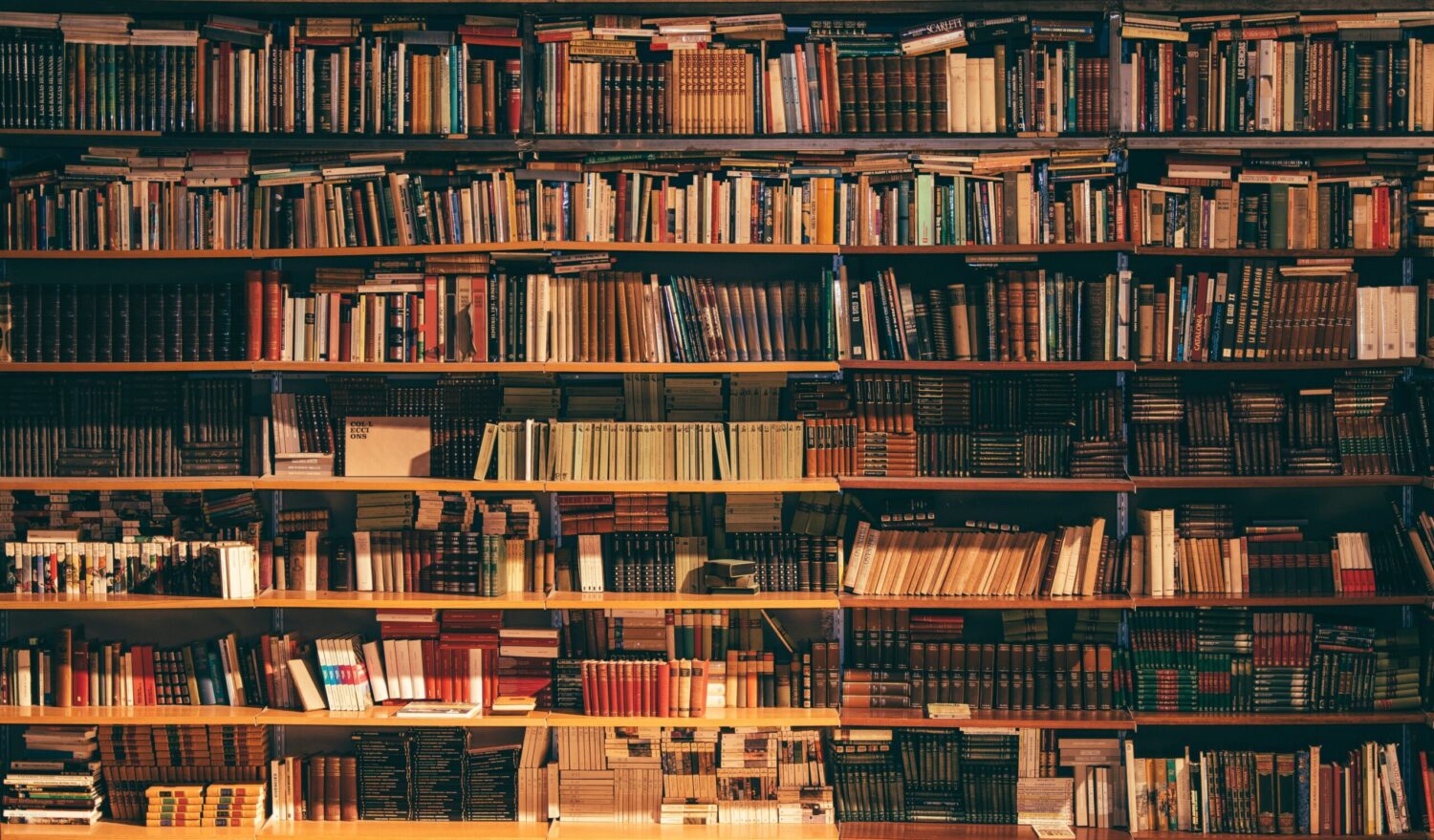 الكتب الإنجليزية المجانية في كوريا: دليل المكتبات العامة من سيول إلى جيجو
