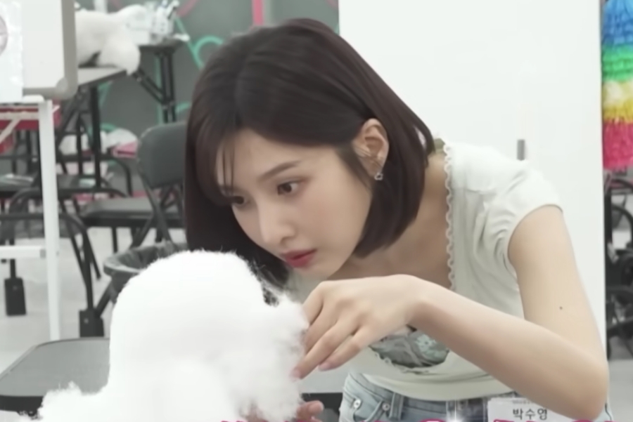 جوي عضوة Red Velvet تكشف عن دراستها للحصول على شهادة في تصفيف الحيوانات الأليفة في برنامج Home Alone